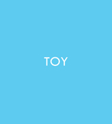 Toy